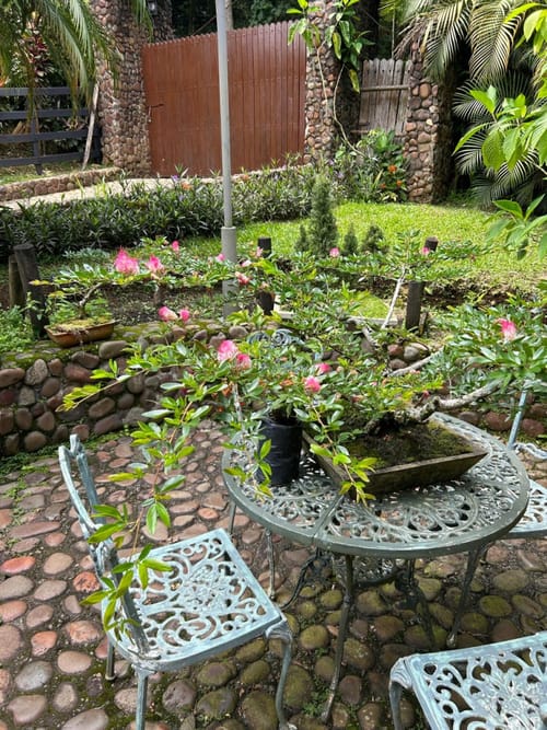 Finca en venta en Paso De La Bolsa, Jamundí, 300 m² · foto 12 de 12