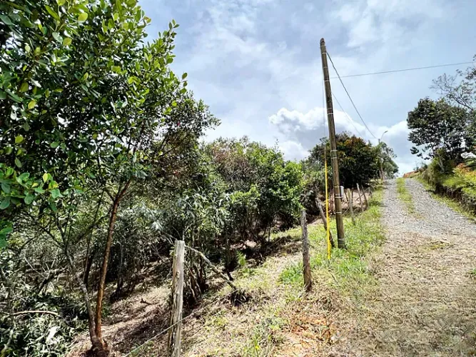 Lote en venta en Guarne, 14000 m² · foto 3 de 8