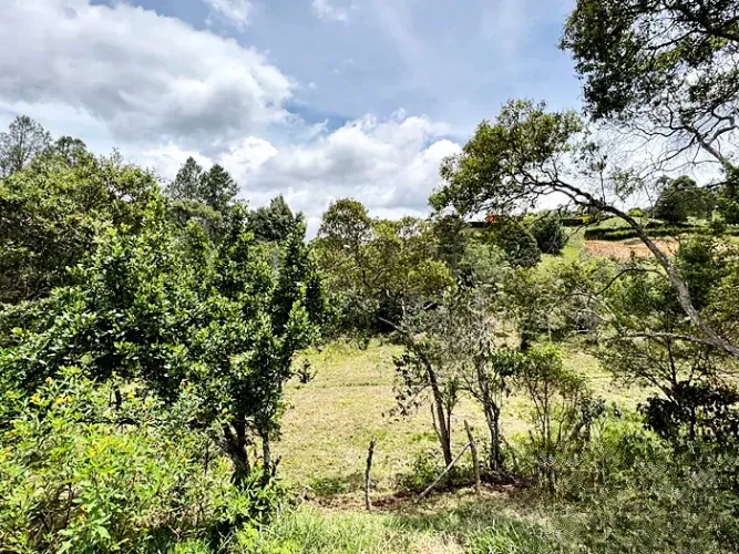 Lote en venta en Guarne, 14000 m² · foto 4 de 8