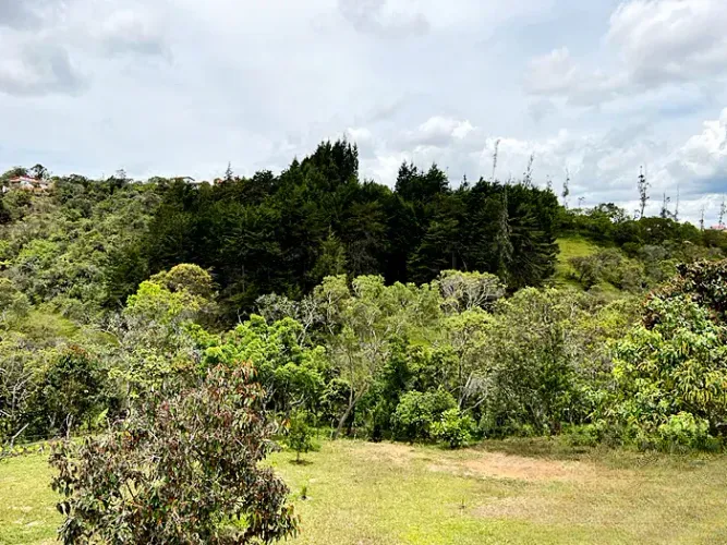 Lote en venta en Guarne, 14000 m² · foto 6 de 8