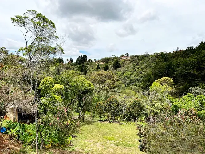 Lote en venta en Guarne, 14000 m² · foto 7 de 8