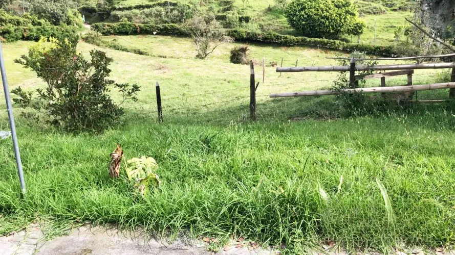 Lote en venta en La Clara, Guarne, 30000 m² · foto 3 de 5