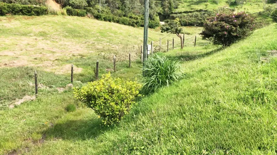 Lote en venta en La Clara, Guarne, 30000 m² · foto 5 de 5