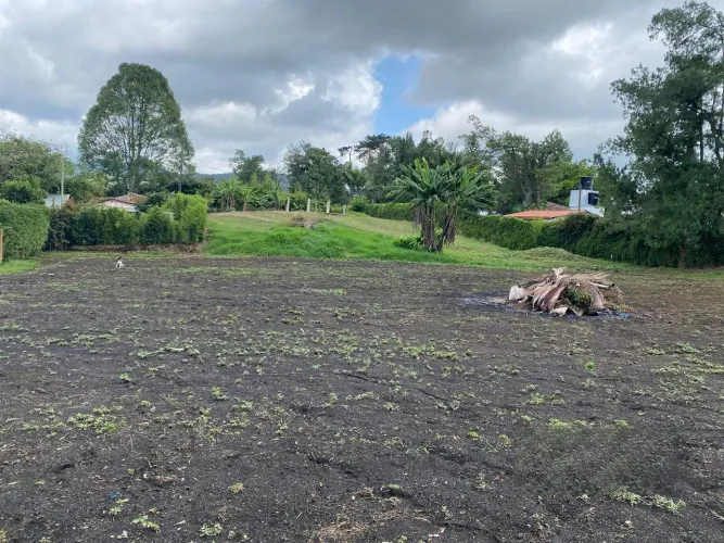 Lote en venta en San Nicolas, La Ceja, 3350 m² · foto 4 de 15