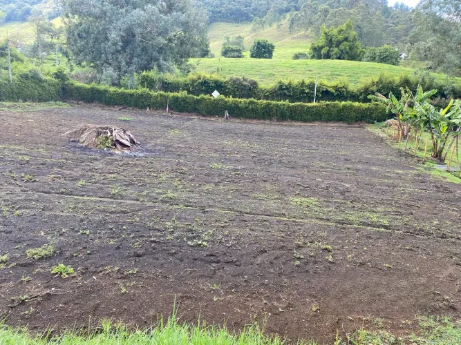 Lote en venta en San Nicolas, La Ceja, 3350 m² · foto 6 de 15