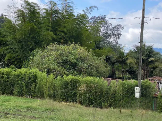 Lote en venta en San Nicolas, La Ceja, 3350 m² · foto 9 de 15