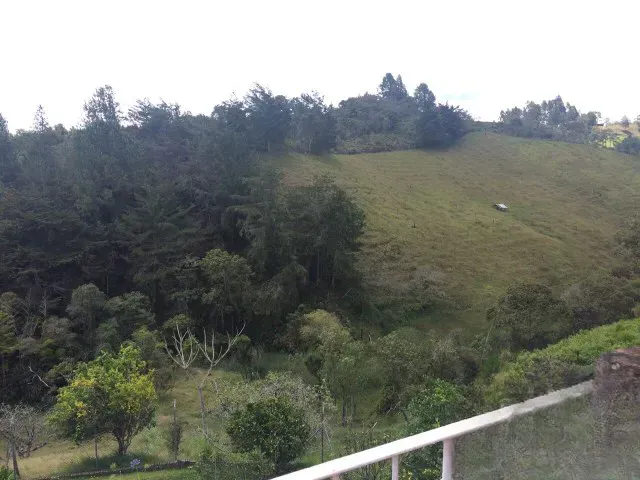Finca en venta en Cristo Rey, El Carmen de Viboral, 55000 m² · foto 11 de 14