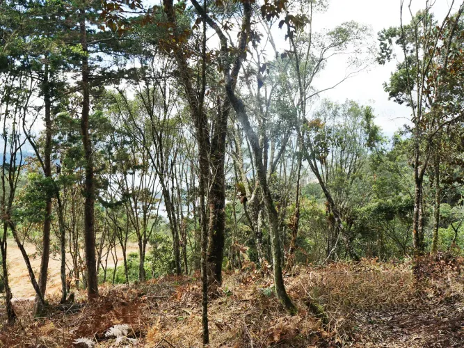 Lote en venta en Los Salados, El Retiro, 10150 m² · foto 5 de 24