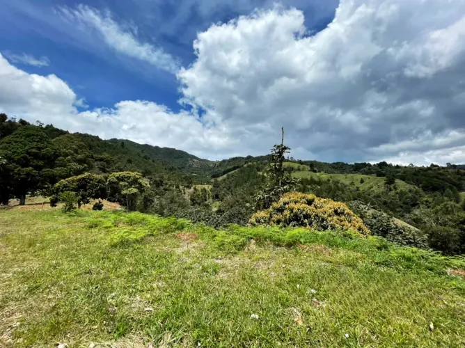 Lote en venta en El Retiro, 11167 m² · foto 6 de 9