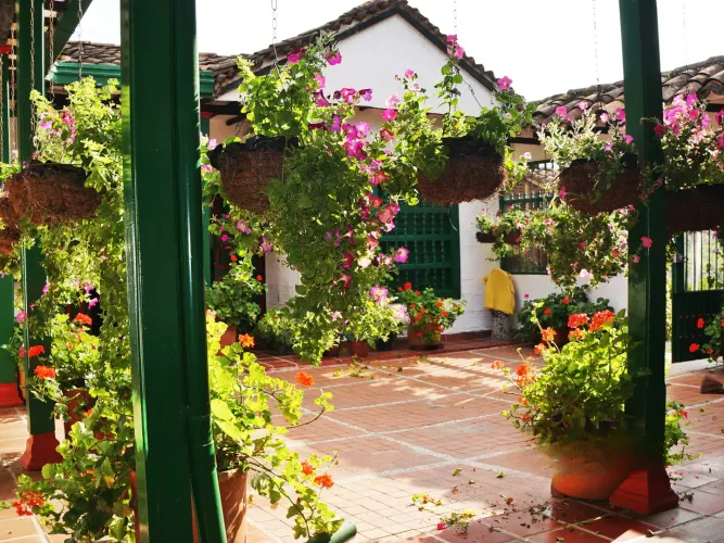 Finca en venta en El Rosal, Rionegro, 59000 m² · foto 7 de 24