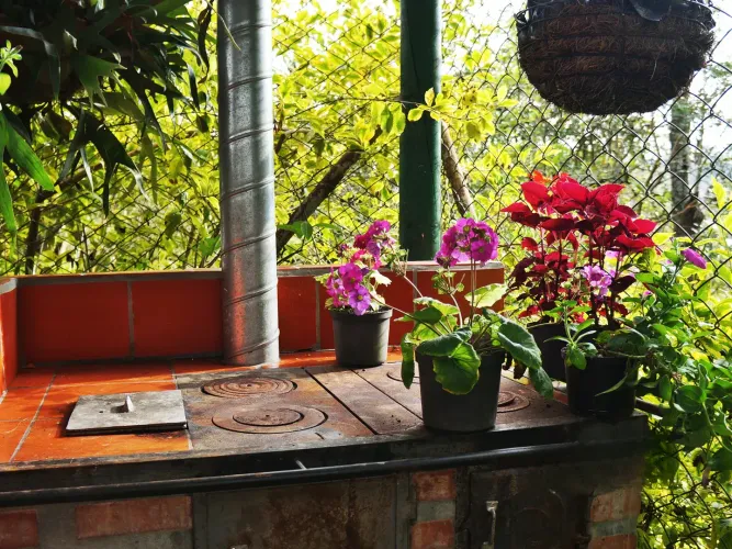 Finca en venta en El Rosal, Rionegro, 59000 m² · foto 15 de 24