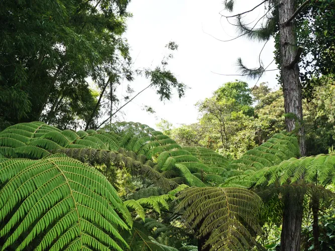 Finca en venta en El Rosal, Rionegro, 59000 m² · foto 23 de 24