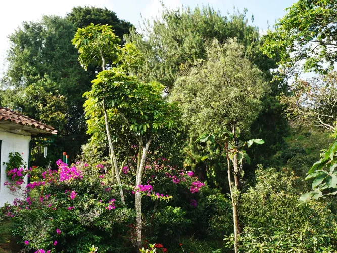 Finca en venta en El Rosal, Rionegro, 59000 m² · foto 24 de 24