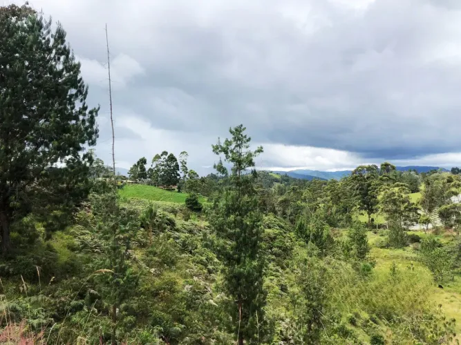 Lote en venta en El Retiro, 6300 m² · foto 3 de 11