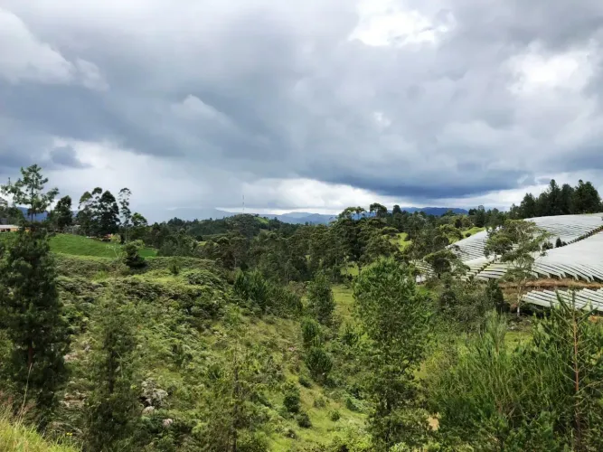 Lote en venta en El Retiro, 6300 m² · foto 5 de 11