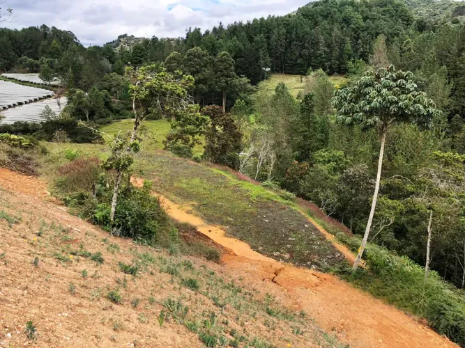 Lote en venta en El Retiro, 6300 m² · foto 6 de 11