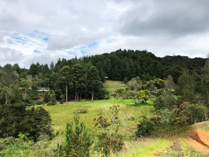 Lote en venta en El Retiro, 6300 m² · foto 10 de 11