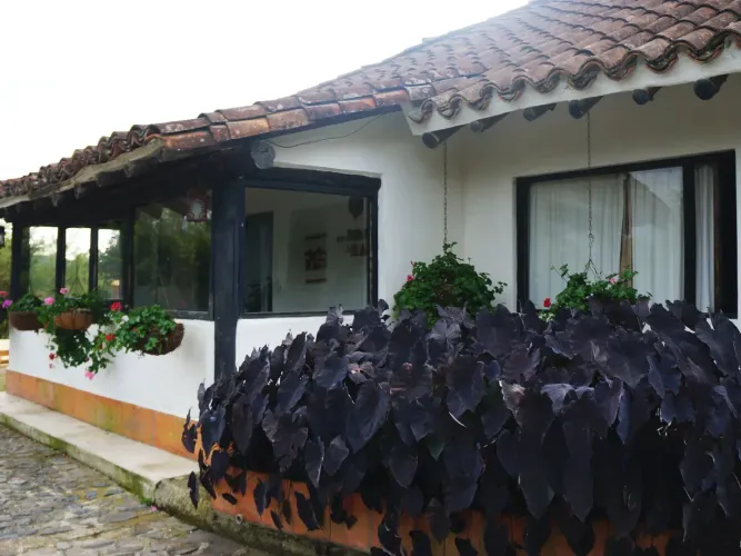 Casa de 3 alcobas en venta en El Carmen de Viboral · foto 3 de 24
