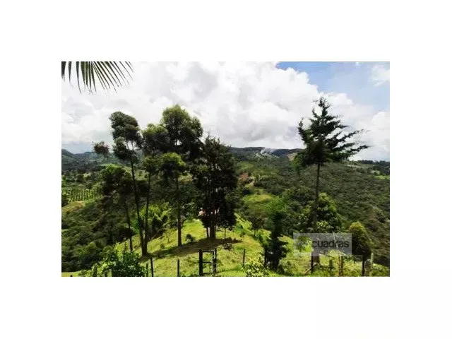 Finca en venta en Puente Pelaez, El Retiro, 12000 m² · foto 9 de 24