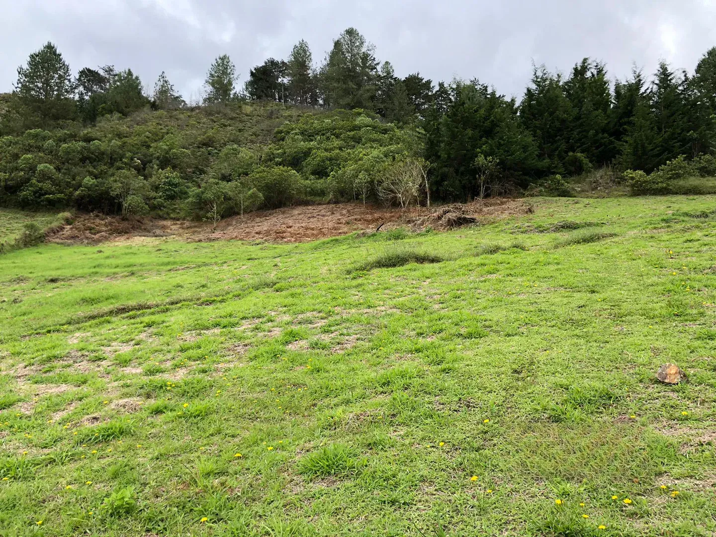 Land in El chuscal (2369 m²) for Sale - 4