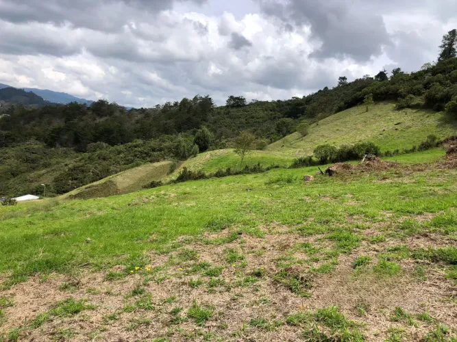 Lote en venta en El Chuscal, El Retiro, 2369 m² · foto 8 de 15
