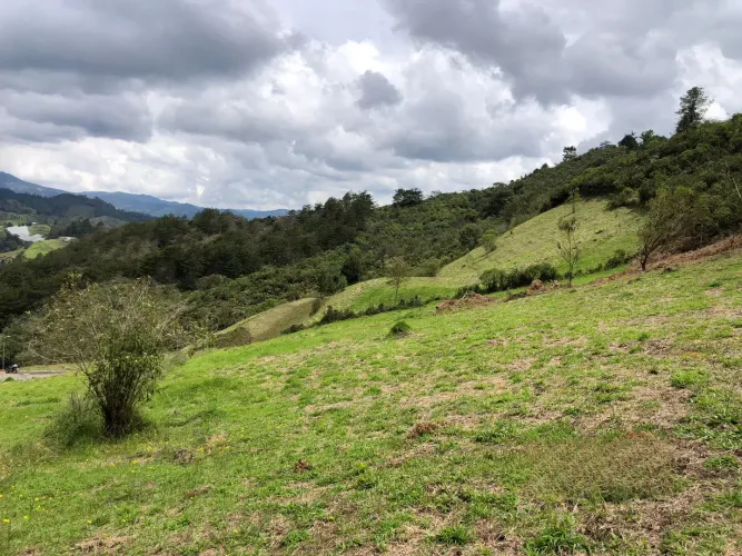 Lote en venta en El Chuscal, El Retiro, 2369 m² · foto 11 de 15