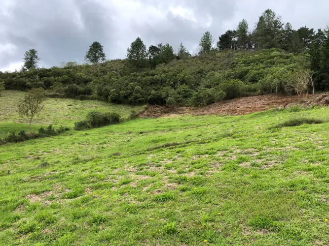 Lote en venta en El Chuscal, El Retiro, 2369 m² · foto 13 de 15