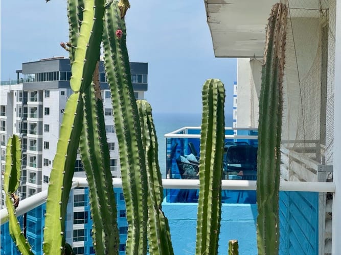 Apartamento de 2 alcobas en venta en Salguero, Santa Marta, 97 m² · foto 19 de 24
