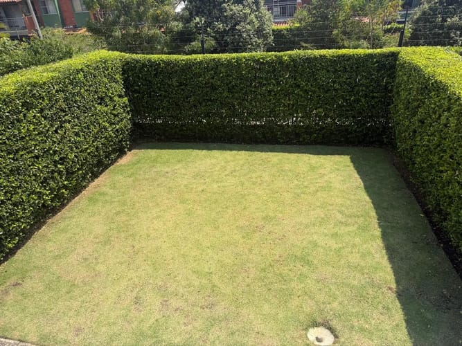 Casa de 3 alcobas en venta en Alfaguara, Jamundí, 193 m² · foto 4 de 24