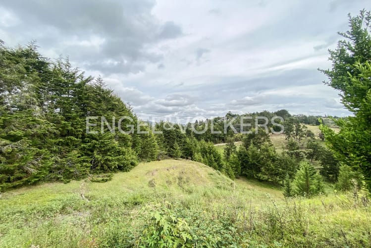 Lote en venta en Playa Rica-Rancheria, Rionegro · foto 10 de 11