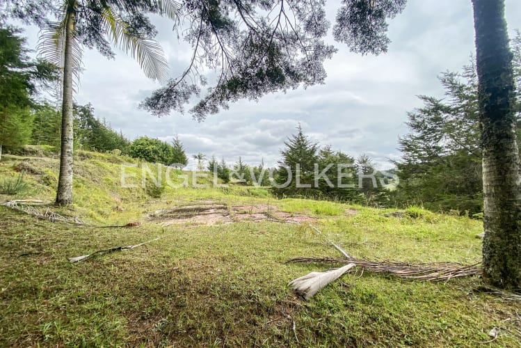 Lote en venta en Playa Rica-Rancheria, Rionegro · foto 9 de 11
