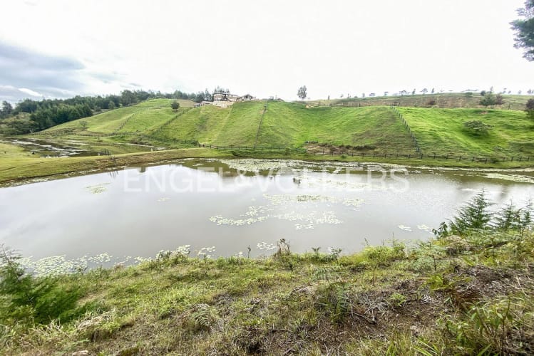 Lote en venta en Playa Rica-Rancheria, Rionegro · foto 6 de 11