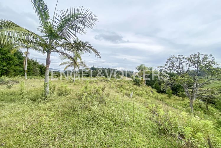 Lote en venta en Playa Rica-Rancheria, Rionegro · foto 3 de 11