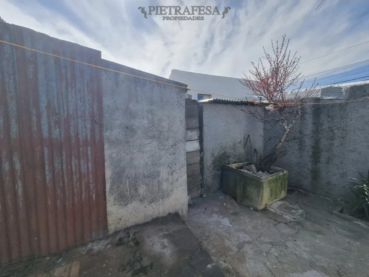 Apartamento en alquiler, 1 dormitorio, 1 baño, patio. Capurro. · Foto 12