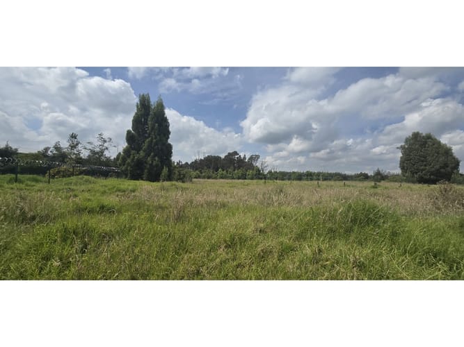 Lote en venta en Siberia, Cota, 3984 m² · foto 4 de 22