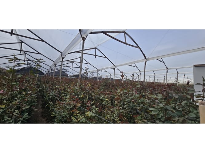 Lote en venta en Cerezos, Mosquera, 76800 m² · foto 2 de 14
