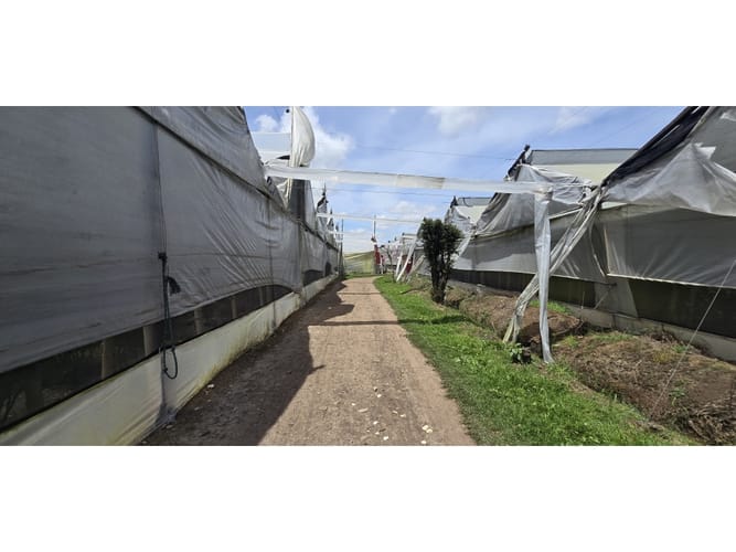 Lote en venta en Cerezos, Mosquera, 76800 m² · foto 3 de 14