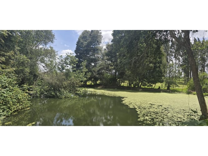 Lote en venta en Cerezos, Mosquera, 76800 m² · foto 5 de 14