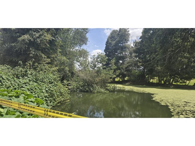 Lote en venta en Cerezos, Mosquera, 76800 m² · foto 6 de 14