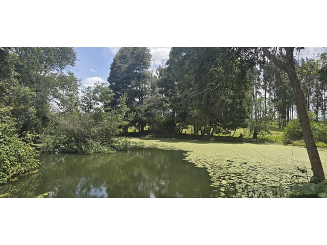 Lote en venta en Cerezos, Mosquera, 76800 m² · foto 7 de 14