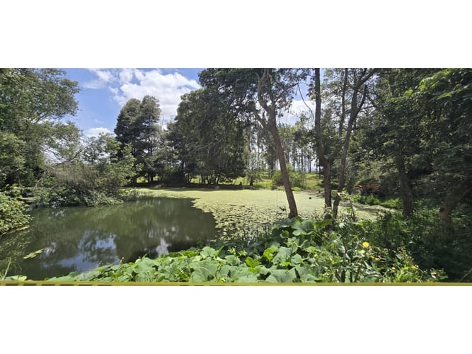 Lote en venta en Cerezos, Mosquera, 76800 m² · foto 8 de 14