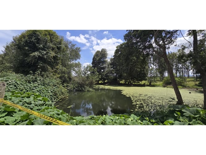Lote en venta en Cerezos, Mosquera, 76800 m² · foto 9 de 14