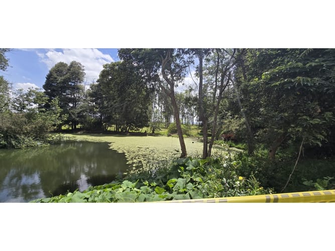 Lote en venta en Cerezos, Mosquera, 76800 m² · foto 10 de 14