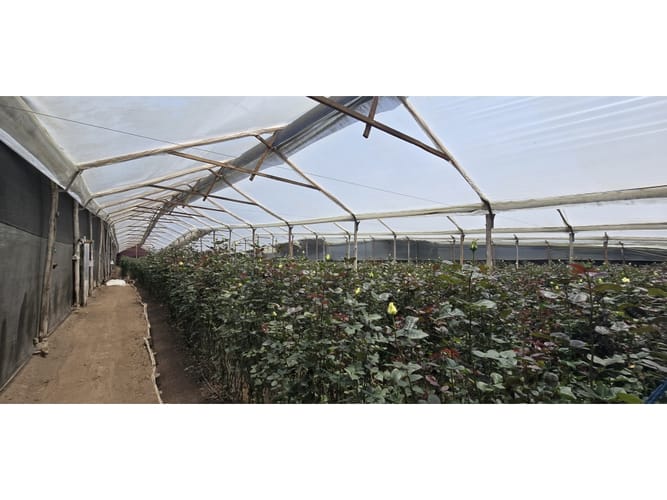 Lote en venta en Cerezos, Mosquera, 76800 m² · foto 11 de 14
