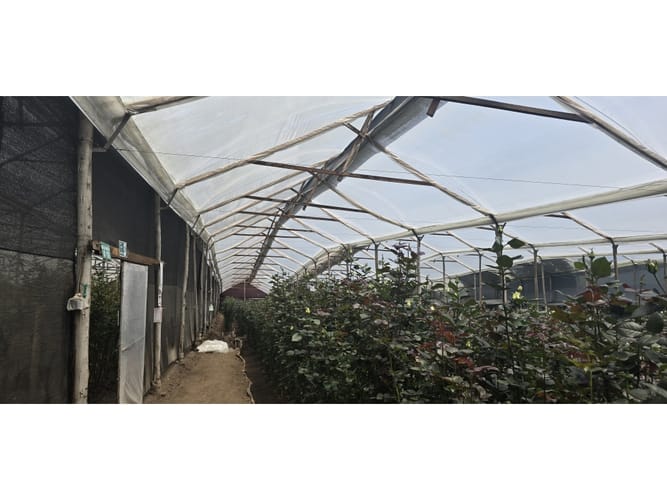 Lote en venta en Cerezos, Mosquera, 76800 m² · foto 12 de 14