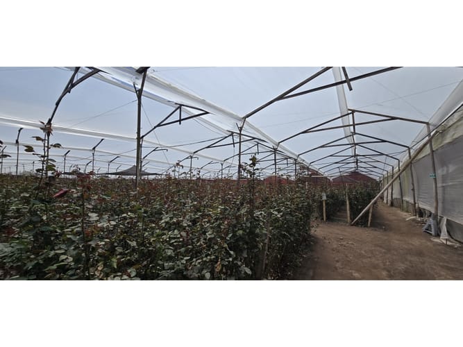 Lote en venta en Cerezos, Mosquera, 76800 m² · foto 14 de 14