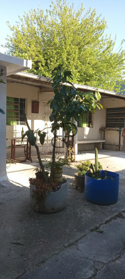 Alquiler Apartamento tipo Casa 1 Dormitorio Centro
