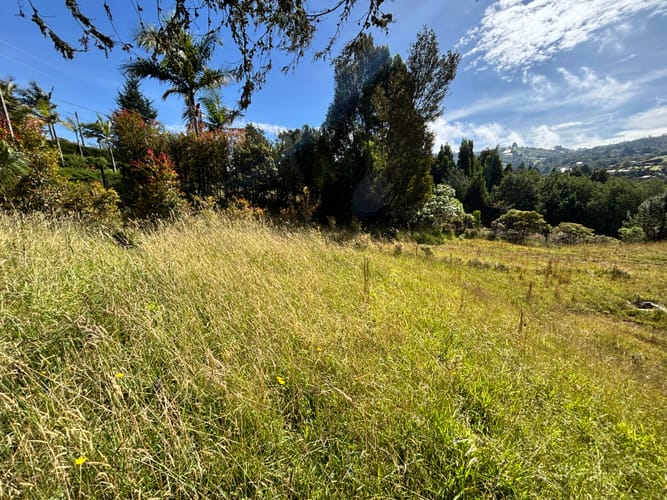 Lote en venta en Vía Las Palmas, Envigado, 8660 m² · foto 2 de 10
