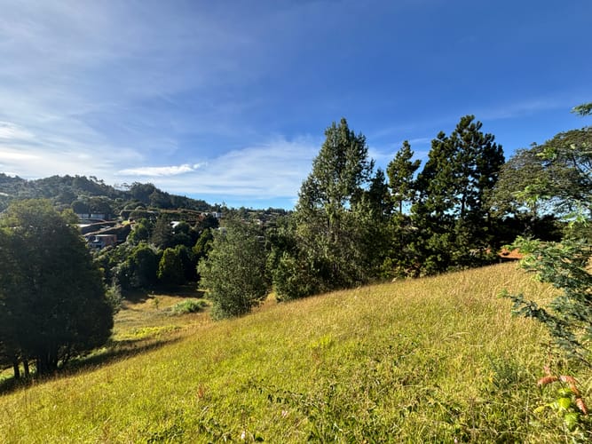 Lote en venta en Vía Las Palmas, Envigado, 8660 m² · foto 7 de 10