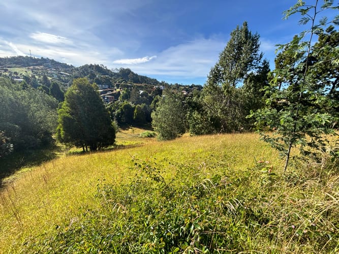 Lote en venta en Vía Las Palmas, Envigado, 8660 m² · foto 8 de 10